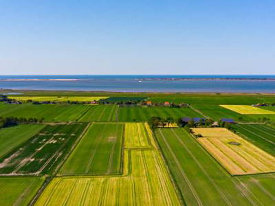 Bild 9 aus  Ferienhof Deichkind