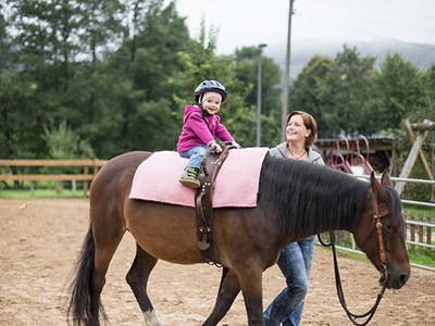 Bild 5 aus  Ferienbauernhof Voß