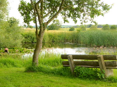 Bild 35 aus  Ostseeferienhof Tralau