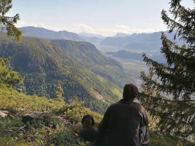 Bild 4 aus  Spörlhof