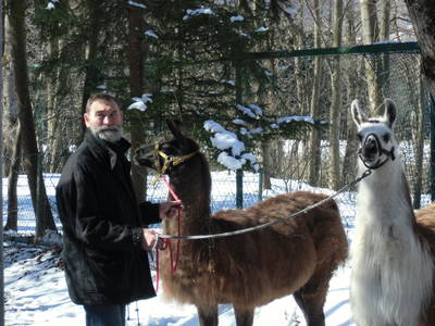 Bild 33 aus  Bucherhof