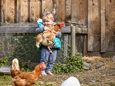 Bild 33 aus  Kircherhof