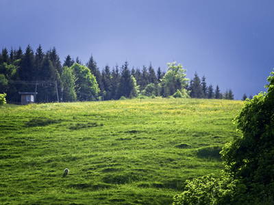 Abendstimmung am Franzosenberg, gegenüber unserem Haus