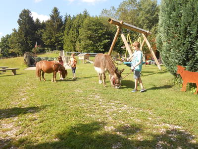 Bild 14 aus  Kaiserhof am See