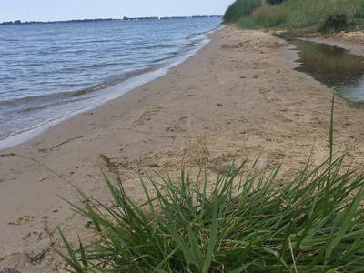 Naturstrand am Strelasund in Stahlbrode
