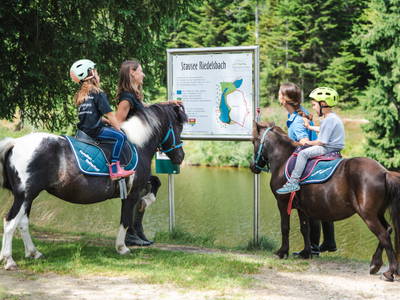 Bild 5 aus  "Forellen - Reiterhof" 5 Sterne Hof direkt am See