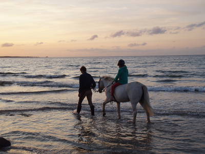 Bild 47 aus  Gut Friederikenhof