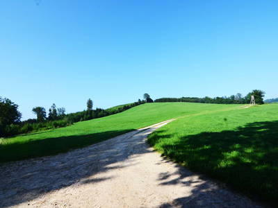 Bild 11 aus  Landurlaub im Sauerland auf dem Ferienhof Verse