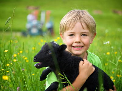 Bild 4 aus  Ferienhotel Starennest