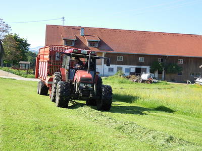 Bild 17 aus  Biohof Bilger