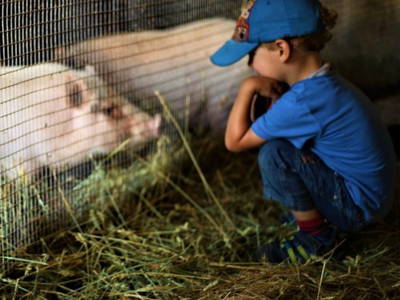 Bild 17 aus  Der Liethshof