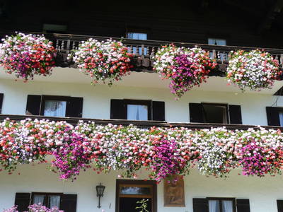 Bild 16 aus  Der Adlerhof