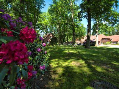 Bild 45 aus  LandSelection Drewes-Hof