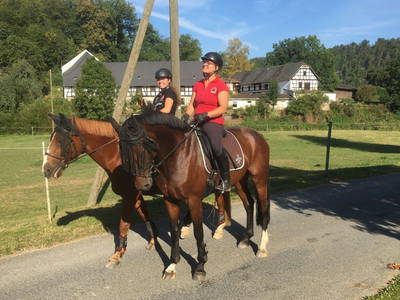 Bild 15 aus  Steinermühle