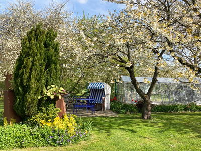 Der Hof zur Kirschblüte ...