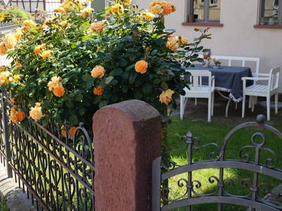 Terrasse Ickelhaus 1