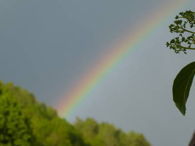 Bild 22 aus  Finnhütten Hohe Klinge- auf der Sonnenseite des Thüringer Waldes, mit traumhafter Aussicht