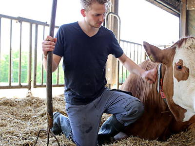 Bild 25 aus  Hollweck's Landoase