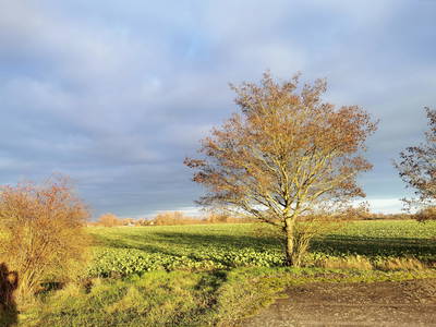Natur pur im Licht der Momente