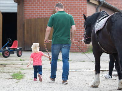 Bild 23 aus  Familienhof Brüning