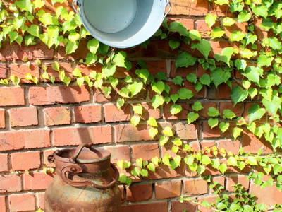 Bild 16 aus  Bauernhofurlaub auf Larbigs Art