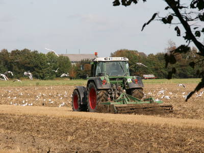 Feldarbeit mit dem Grubber
