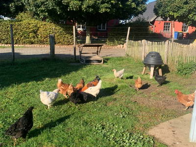 Bild 23 aus  Traumhafte Ferienwohnung am Wittenberghof