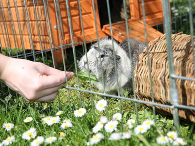 Bild 9 aus  Bio-Obstgut Oberhof