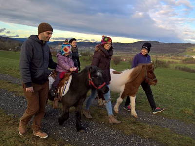 Flora und Sinba unsere Ponys