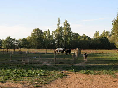 Bild 18 aus  Maison Cheval Blanc