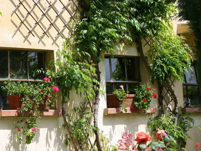 Bild 4 aus  Casa Nova