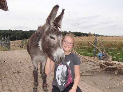 Bild 30 aus  Freizeit- und Ferienreiterhof Odenwald