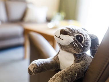 Bild 6 aus  Ferienhof Waldblick