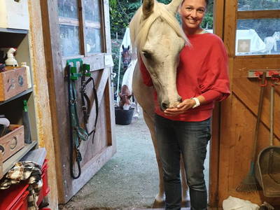 Bild 17 aus  Arabian Harmony