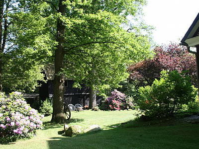 Bild 5 aus  Ferienhof Wroge