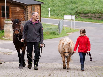 Bild 24 aus  Hof in Liebesdorf