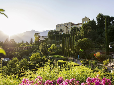 Bild 12 aus  WEINGUT & APARTMENTS WEI TGRUBER    CIN:  IT021051B4HVROK894