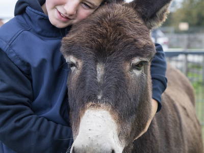 Bild 39 aus  Freizeit- und Ferienreiterhof Odenwald
