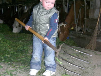 Bild 17 aus  Familien-Bauernhofurlaub im Herzen der Schweiz