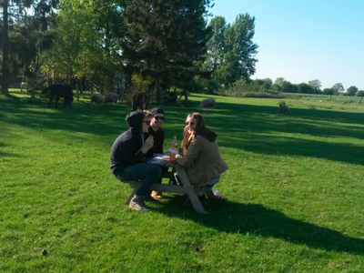 Bild 12 aus  Ahoi Ostsee:  Bauernhof und OstseeUrlaub - Ferienhof Becker in Dahme