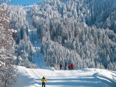 Bild 16 aus  Alpenrösle Ferienwohnungen