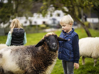 Bild 13 aus  Ferienhof Schade