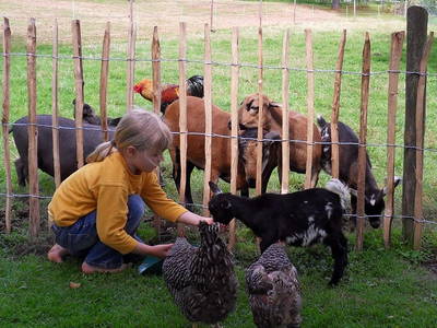 Bild 6 aus  Hubertushof Steidle