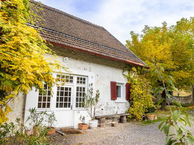 Bild 44 aus  Gut Neuwerk