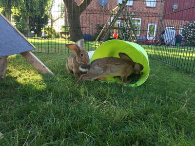 Bild 43 aus  Ahoi Ostsee:  Bauernhof und OstseeUrlaub - Ferienhof Becker in Dahme