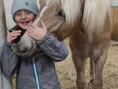 Bild 6 aus  Appartement Birkenhof - Urlaub mit Pferden und Alpakas