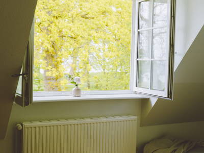 Bild 7 aus  Ferienwohnungen mit Ostseeblick auf Gut Oehe