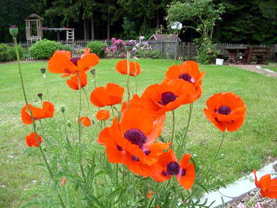 Bild 12 aus  Hof Dödesberg