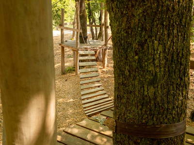 Bild 22 aus  Hubertushof Eifel - Ferienhof