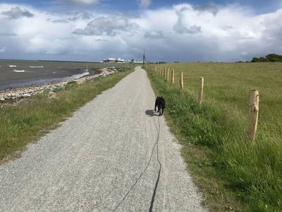 Bild 28 aus  Luftsnapper & Fellnasen